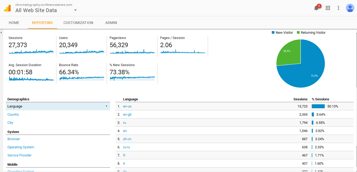 Visitor Analysis Report